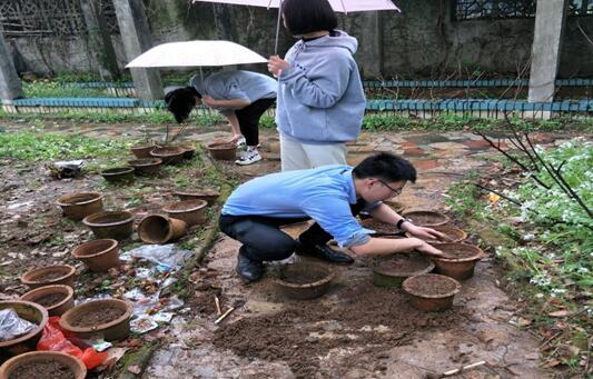 學雷鋒 共筑美麗幸福家園—我校團委組織學習雷鋒精神系列活動（一）